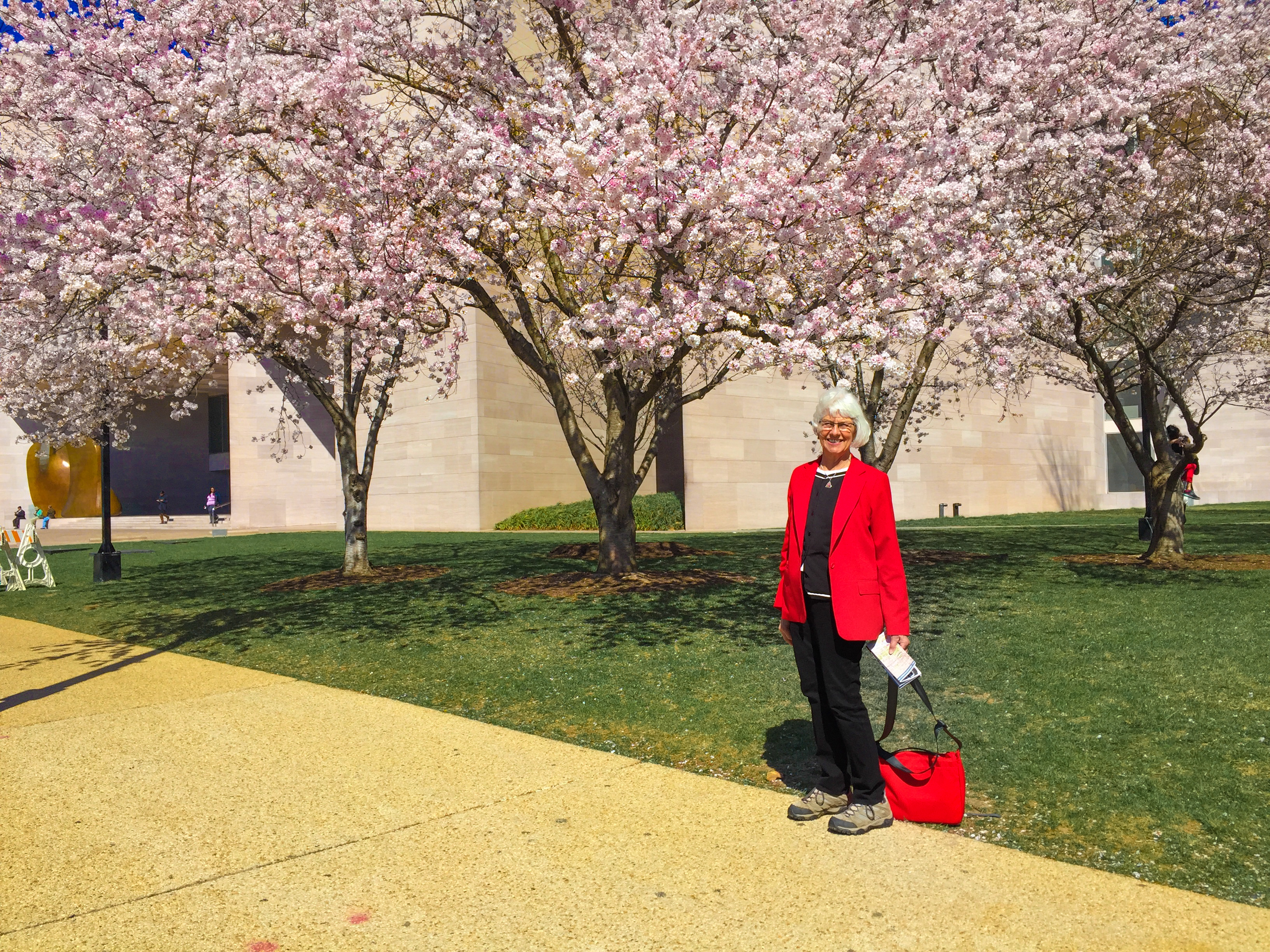 Karen and the cherry blossoms