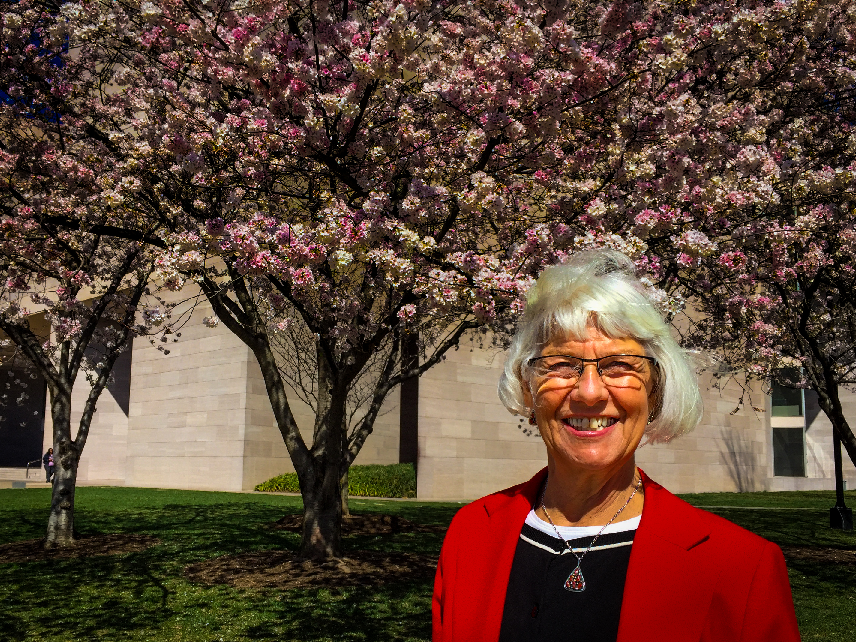 Karen and the cherry blossoms