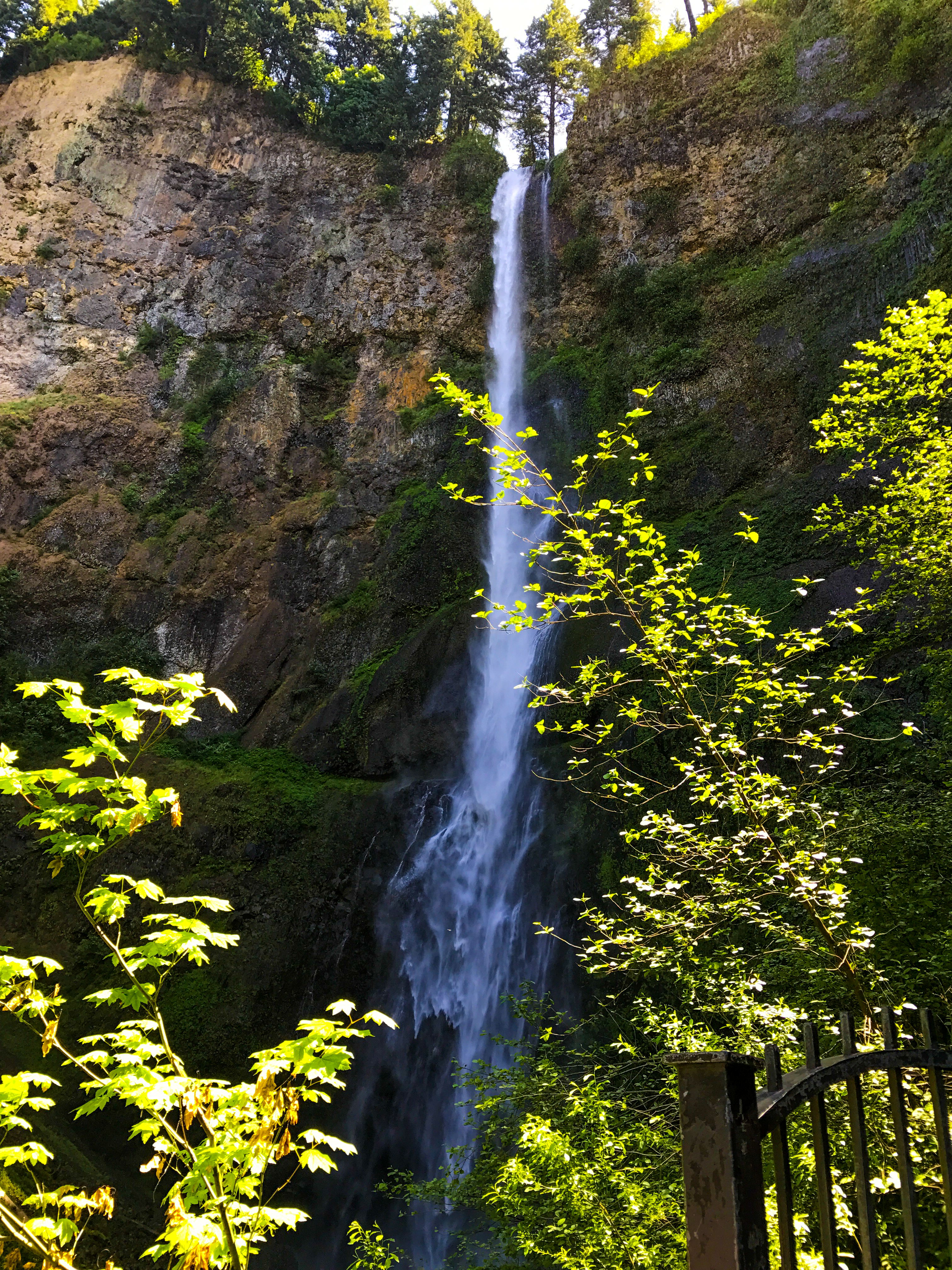 Multnomah Falls