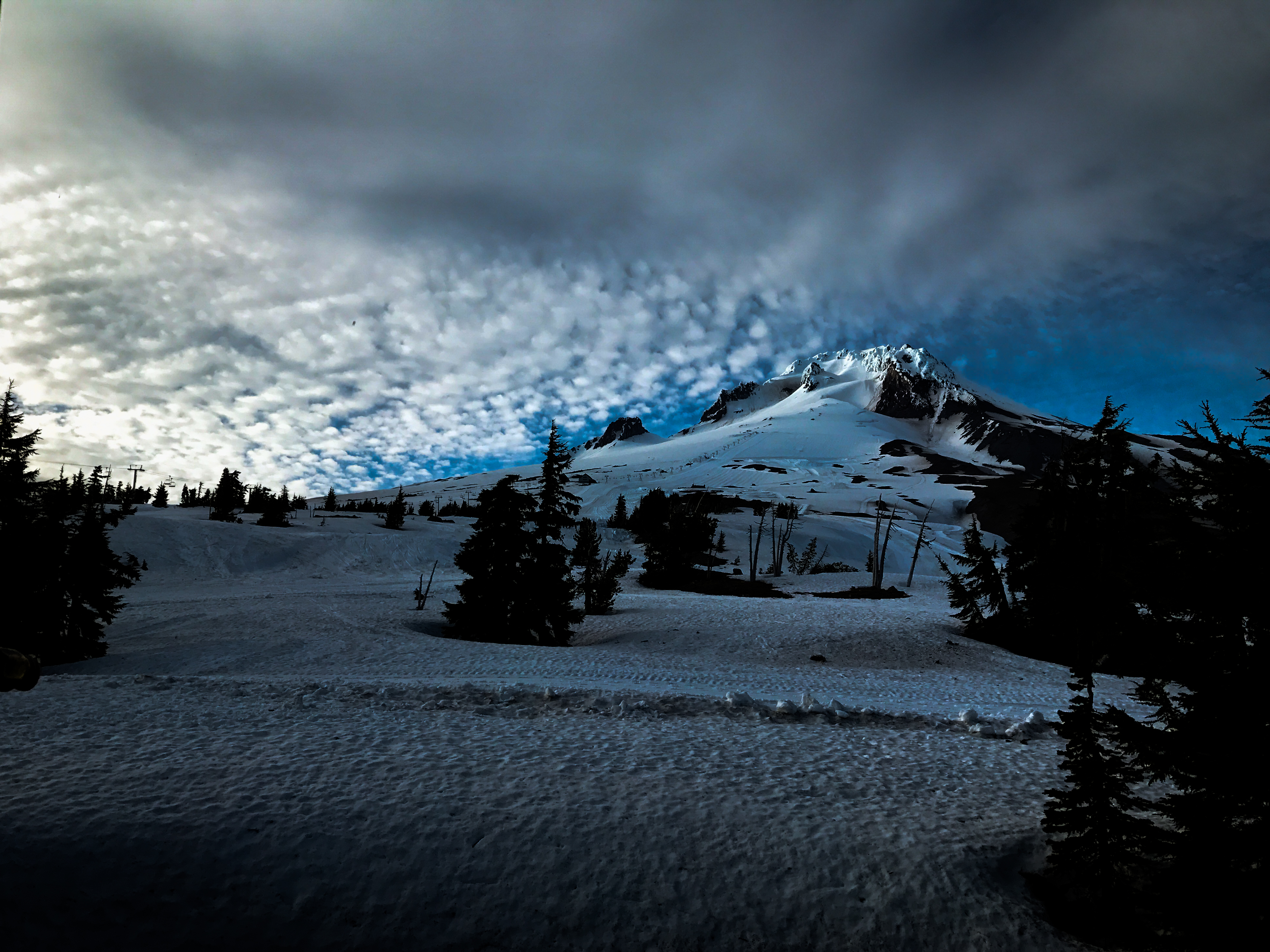 Mt. Hood evening