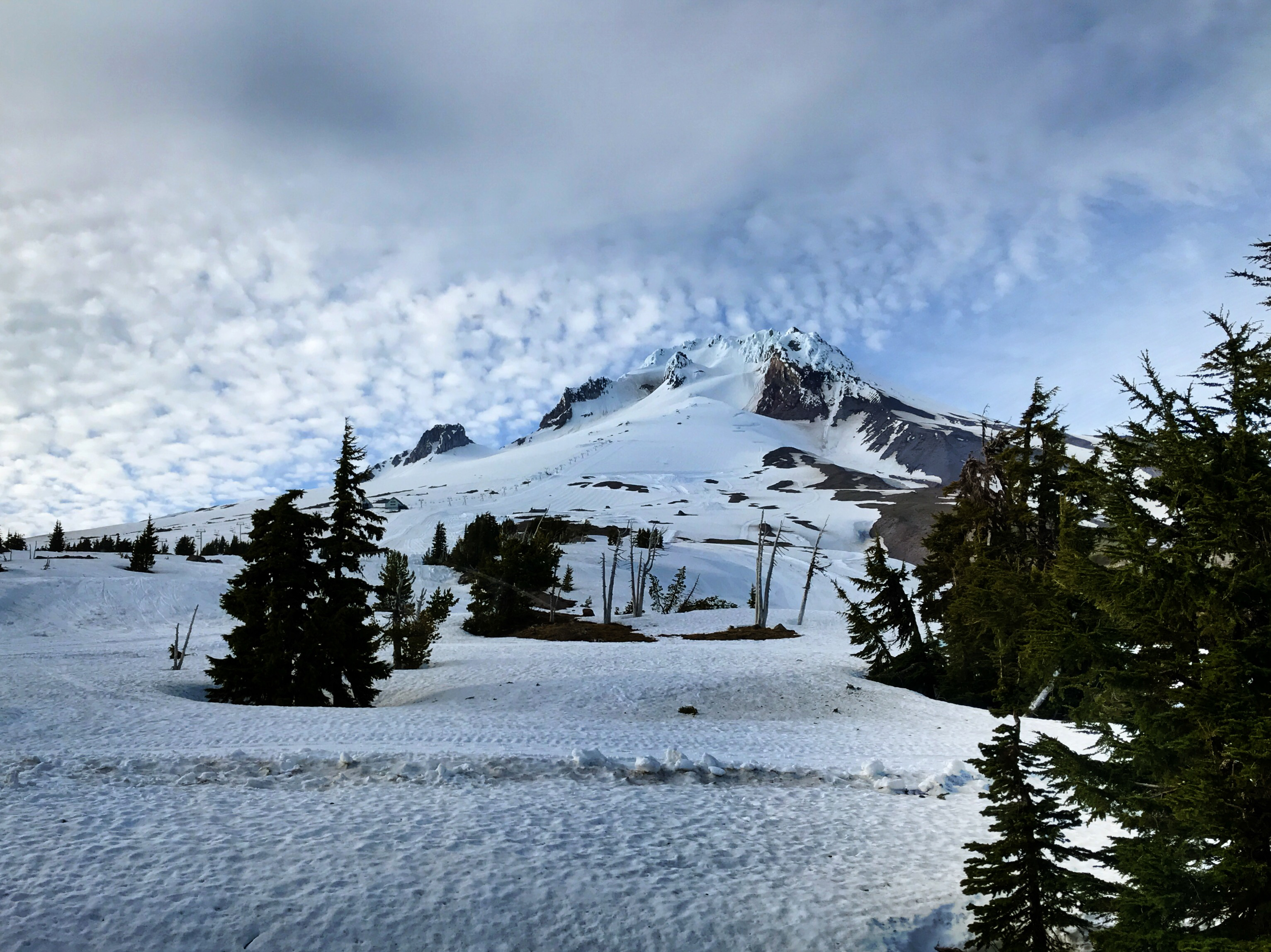 Mt. Hood evening