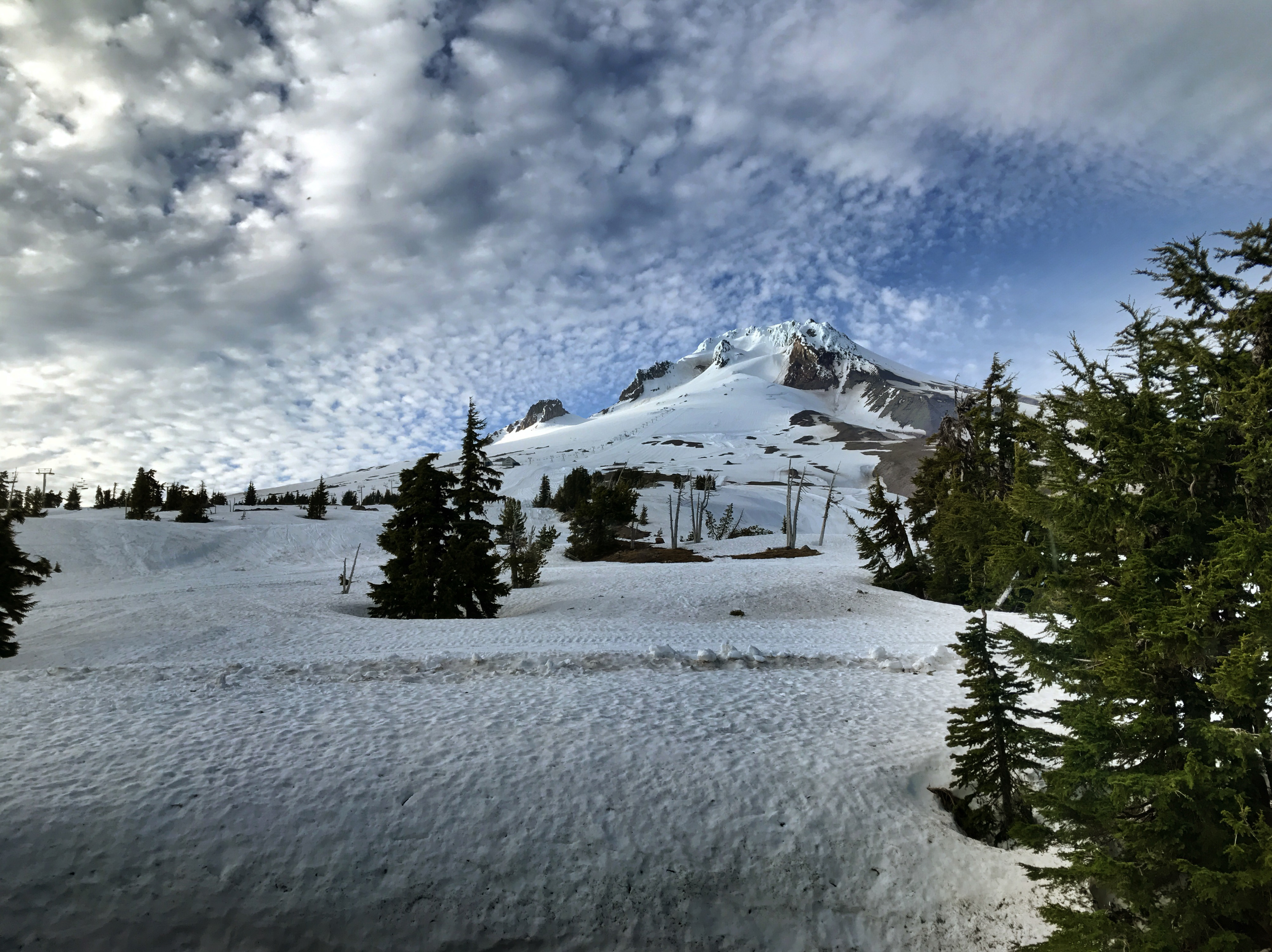 Mt. Hood evening