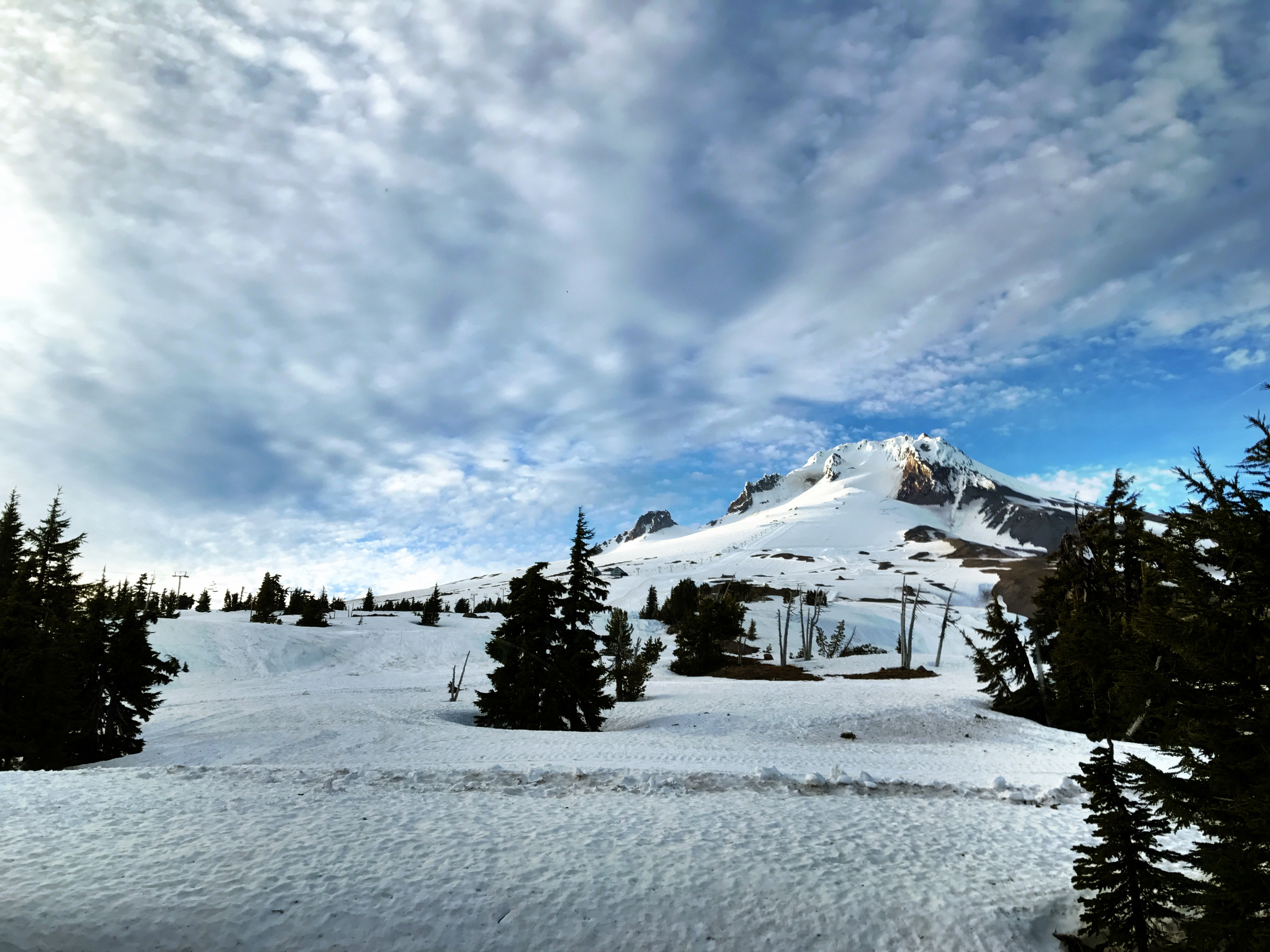 Mt. Hood evening