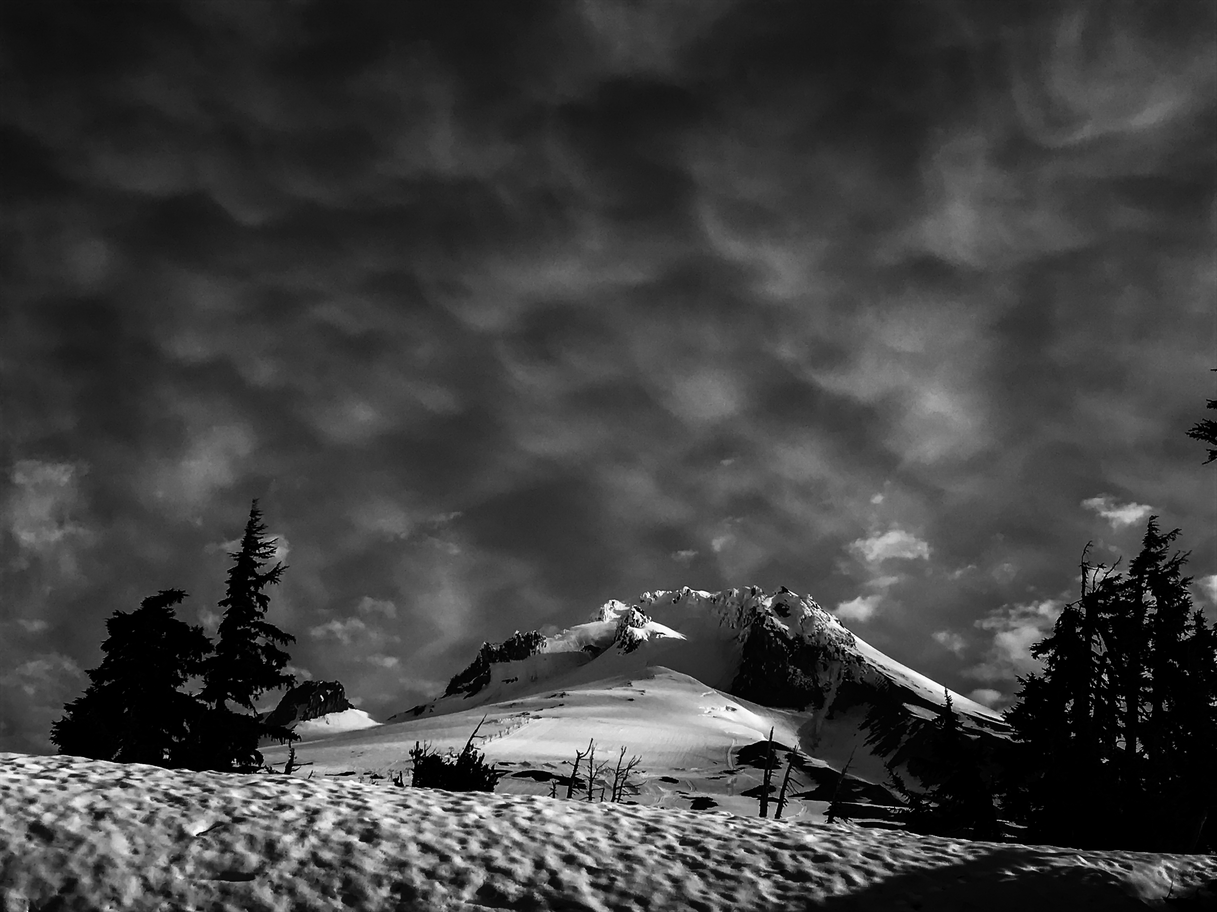 Mt. Hood Morning